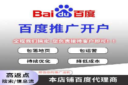百度推广实战攻略：案例与技巧